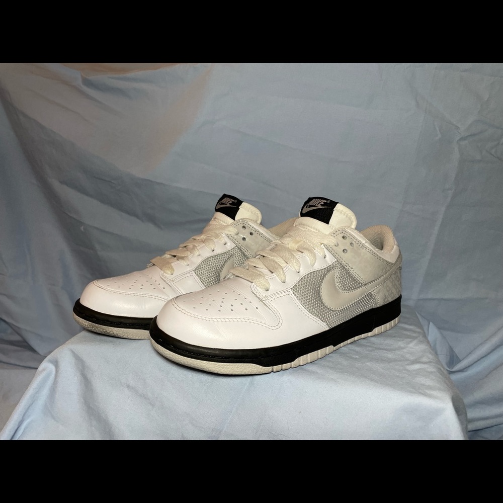RARE Nike Dunk Lows